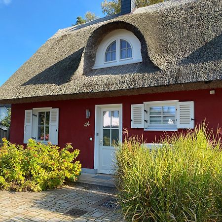 Ferienhaus Greta グロヴェ エクステリア 写真